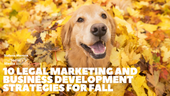 10 Legal Marketing and Business Development Strategies for Fall (2)