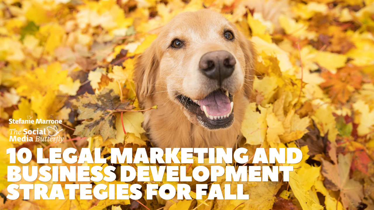 10 Legal Marketing and Business Development Strategies for Fall (2)